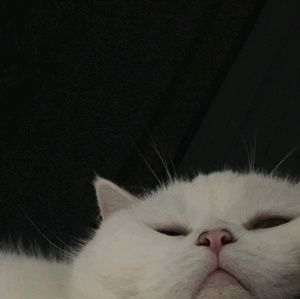 Meet your Posher, Gabrielle